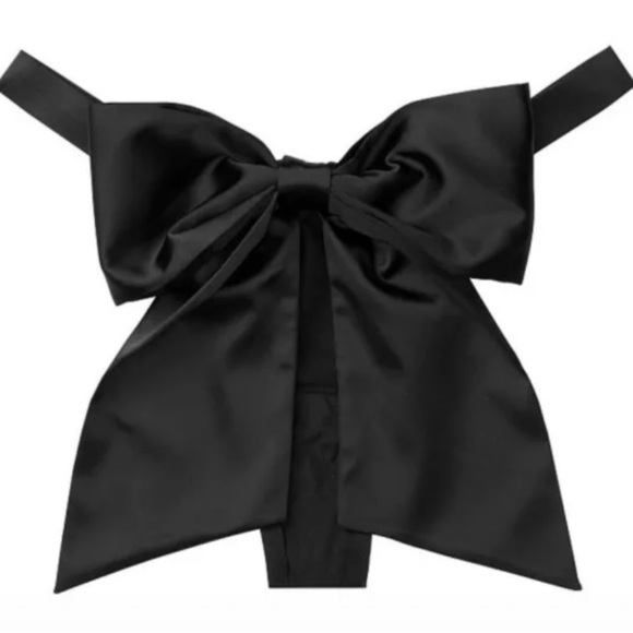 Elegant Black Satin Thong - Picture 2 of 5